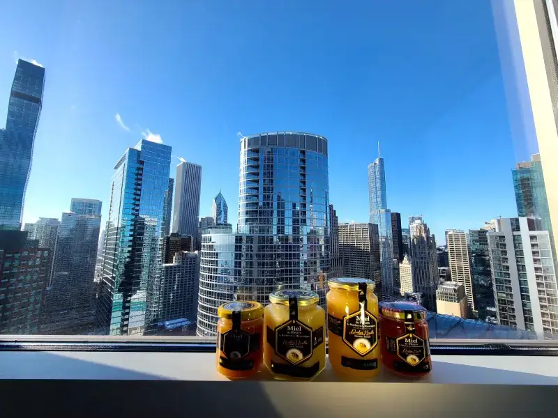 Ville de Chicago